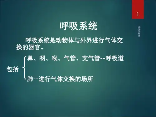 畜禽解剖学呼吸系统PPT课件