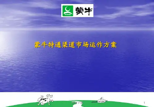 蒙牛冰淇淋特殊渠道战略规划