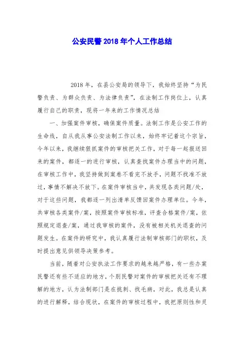 公安民警2018年个人工作总结