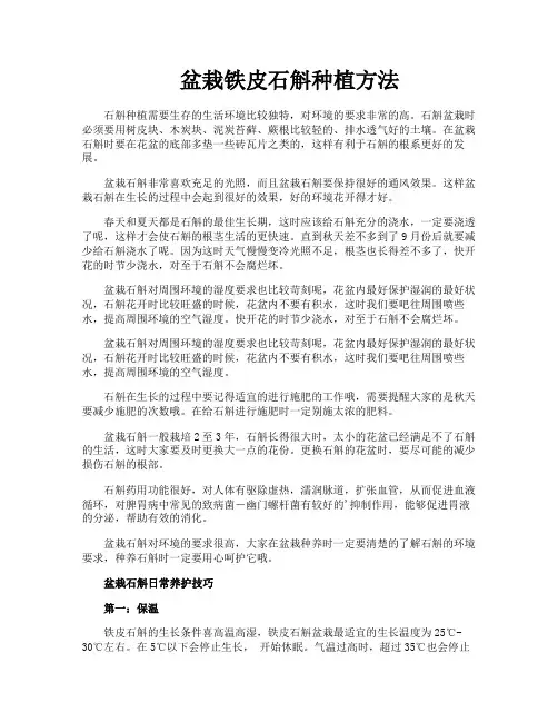 盆栽铁皮石斛种植方法