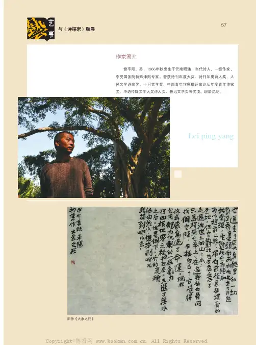 雷平阳 沈乔生