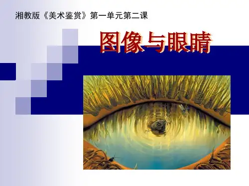 图像与眼睛ppt