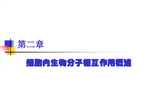 2细胞内生物分子相互作用概述省名师优质课赛课获奖课件市赛课一等奖课件