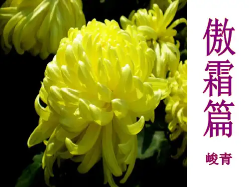 《傲霜篇》 最新小学精品公开课件