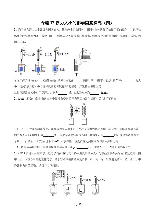 2020年苏科版中考物理实验(探究型)专题练习17-浮力大小的影响因素探究(四)