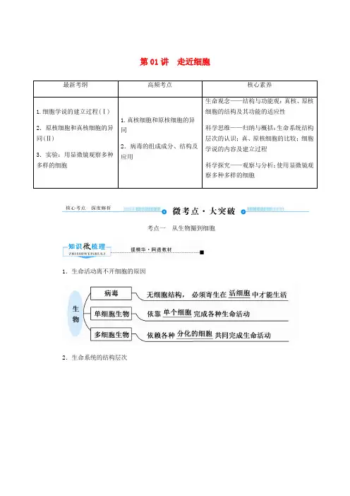 2020版高考生物一轮复习第一单元走近细胞及其分子组成第01讲走近细胞教案新人教版