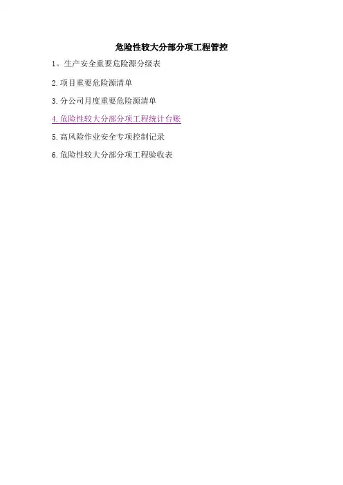 危险性较大分部分项台账【范本模板】