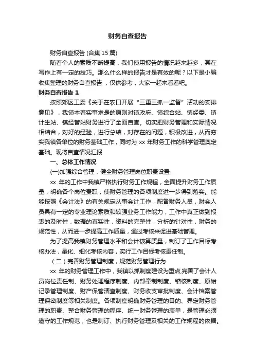 财务自查报告（合集15篇）