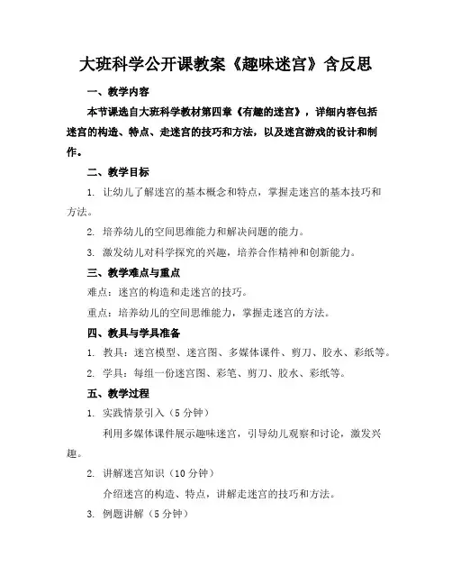 大班科学公开课教案《趣味迷宫》含反思