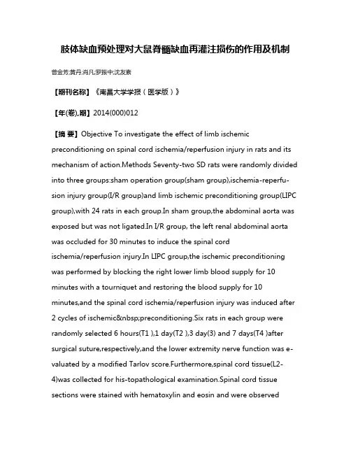 肢体缺血预处理对大鼠脊髓缺血再灌注损伤的作用及机制