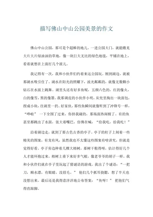 描写佛山中山公园美景的作文