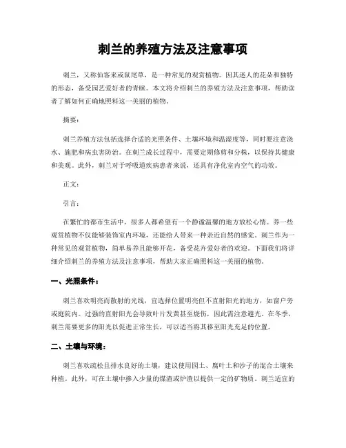 刺兰的养殖方法及注意事项