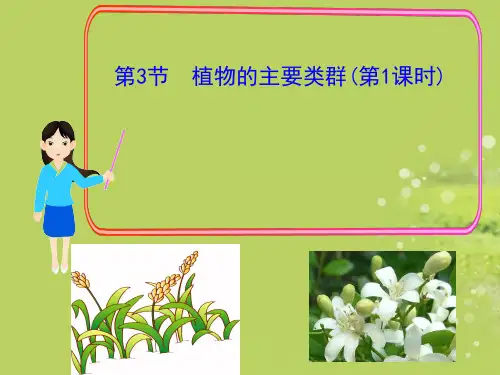 北师大版初中生物八年级下册第七单元第二十二章第3节 植物的主要类群课件