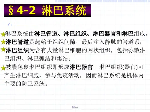 淋巴系统由淋巴管道、淋巴组织、淋巴器官和淋巴组成。 淋巴...课件-新版.ppt
