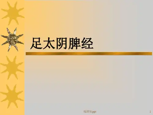 经络之脾经医学PPT