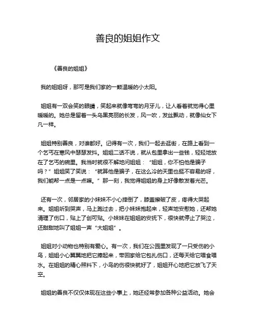 善良的姐姐作文