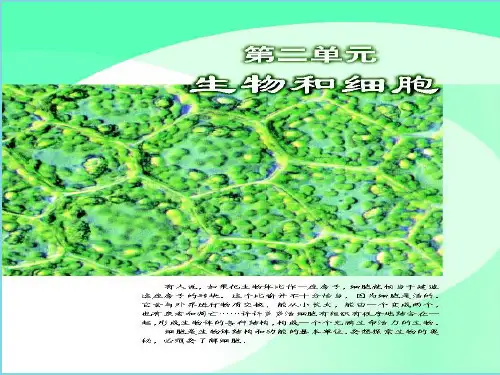 练习使用显微镜课件(共10张PPT)