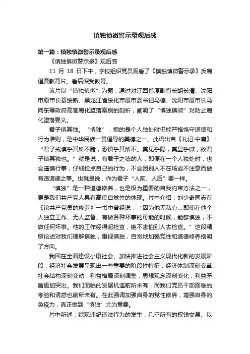 慎独慎微警示录观后感