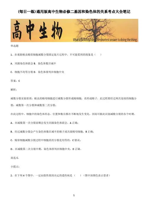 通用版高中生物必修二基因和染色体的关系考点大全笔记