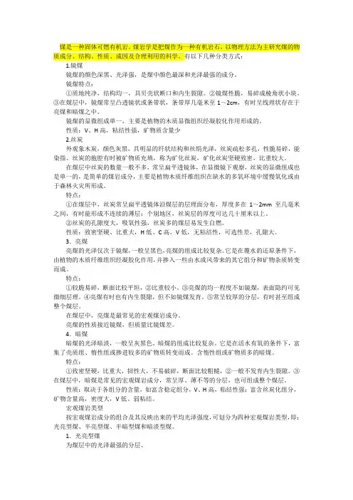 煤岩分析