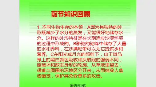 有趣的食物链PPT课件