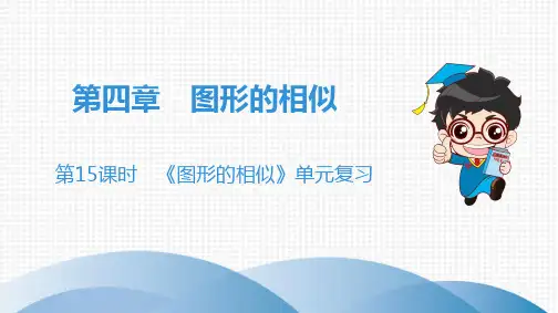 上册 第4章 第15课时 《图形的相似》单元复习