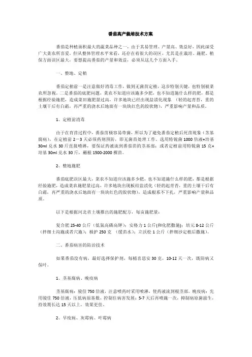 番茄高产栽培技术方案