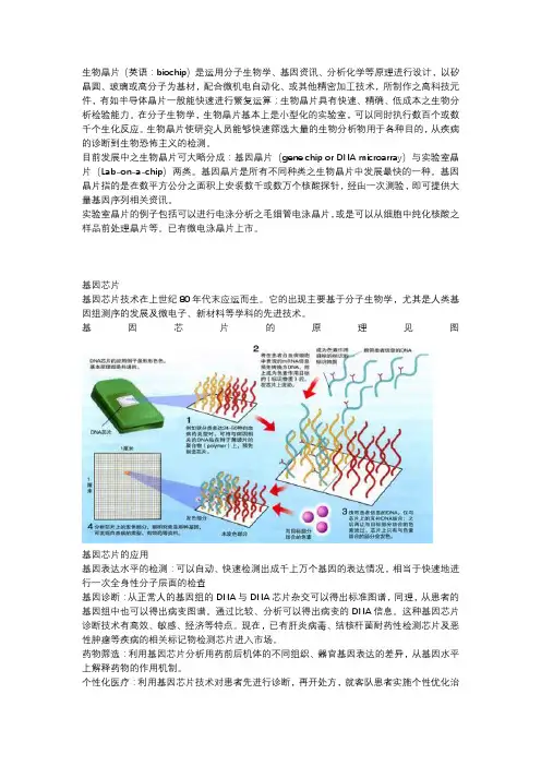生物芯片