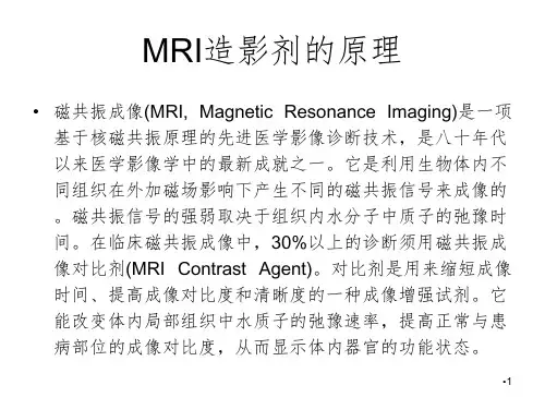 MRI造影剂PPT演示课件