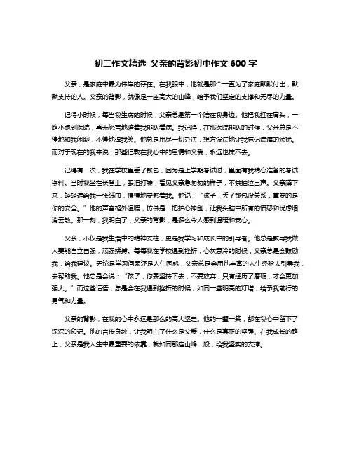 初二作文精选 父亲的背影初中作文600字