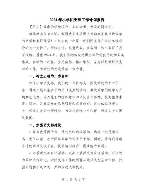 2024年小学团支部工作计划报告