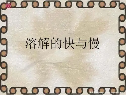 四年级上 溶解的快与慢教科版ppt