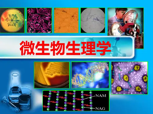 微生物生理学全套精美课件80