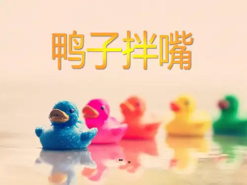 《鸭子拌嘴》PPT课件4