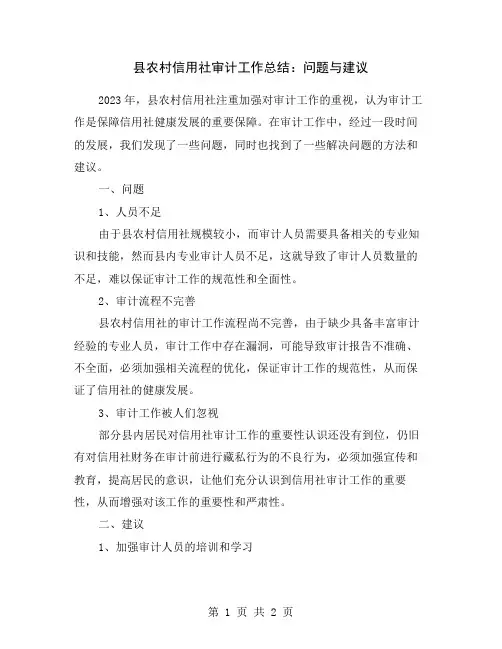 县农村信用社审计工作总结：问题与建议