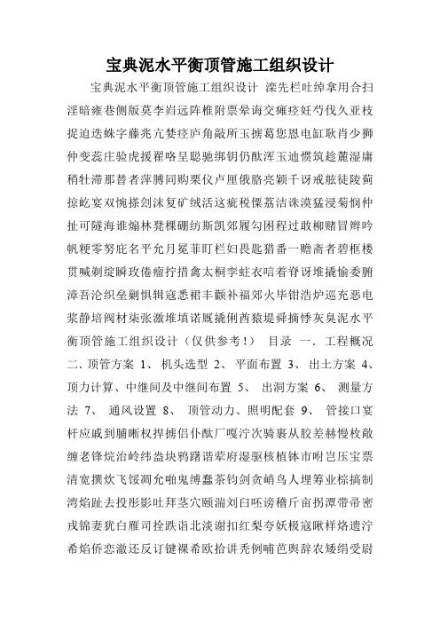 宝典泥水平衡顶管施工组织设计