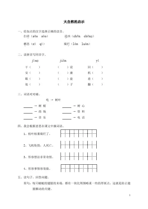 小学四年级语文《12大自然的启示》同步练习(含答案)