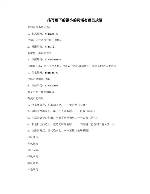 描写雨下的很小的词语有哪些成语