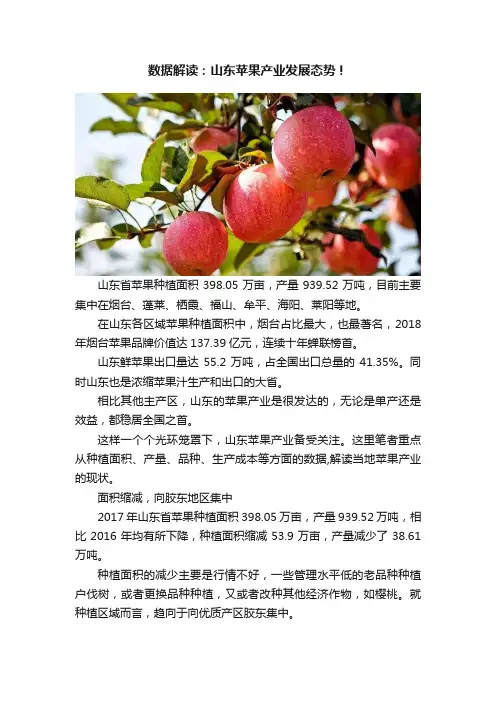 数据解读：山东苹果产业发展态势！