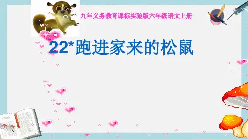 人教版小学语文六年级上册22_跑进家来的松鼠ppt课件