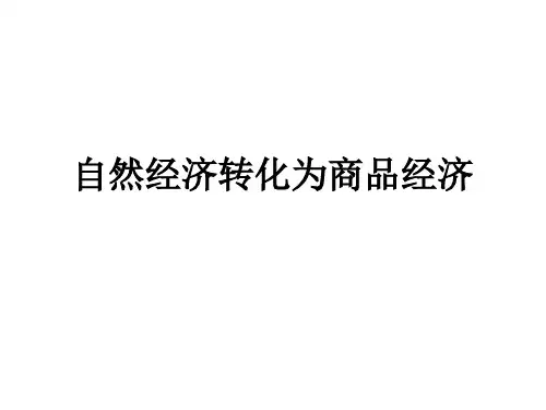 自然经济转化为商品经济课件