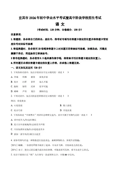 2024年四川省宜宾市中考语文真题卷(含答案与解析)_3473