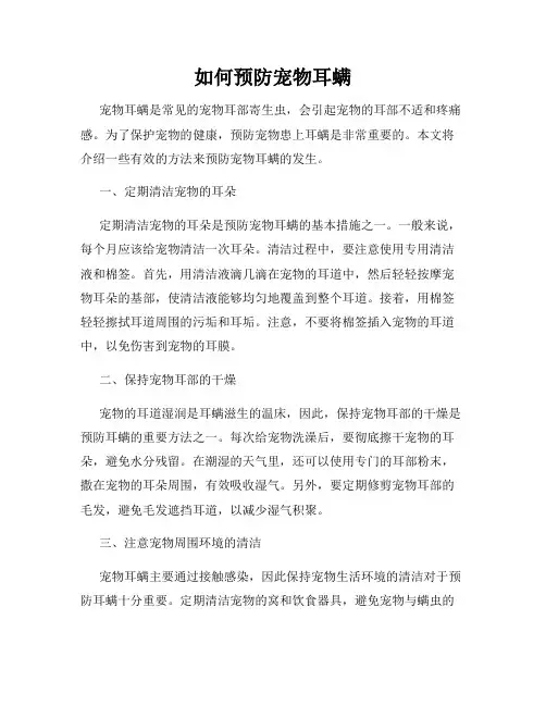 如何预防宠物耳螨