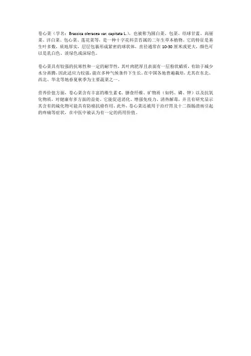卷心菜简介