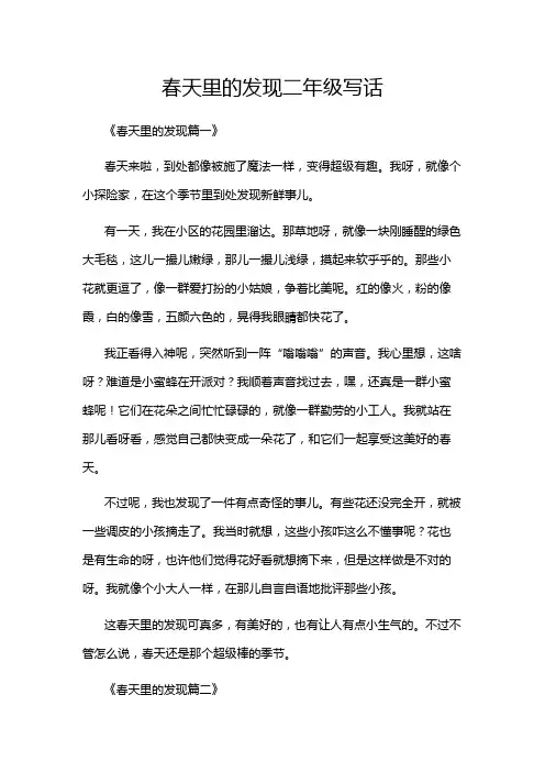 春天里的发现二年级写话