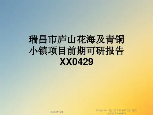 瑞昌市庐山花海及青铜小镇项目前期可研报告XX0429
