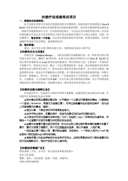 沙游疗法连续培训项目