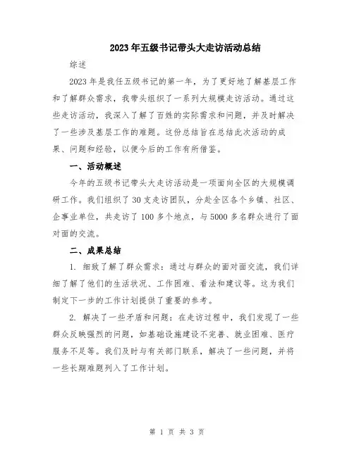 2023年五级书记带头大走访活动总结