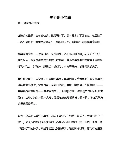 作文《勤劳的小蜜蜂》