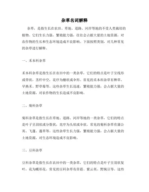 杂草名词解释